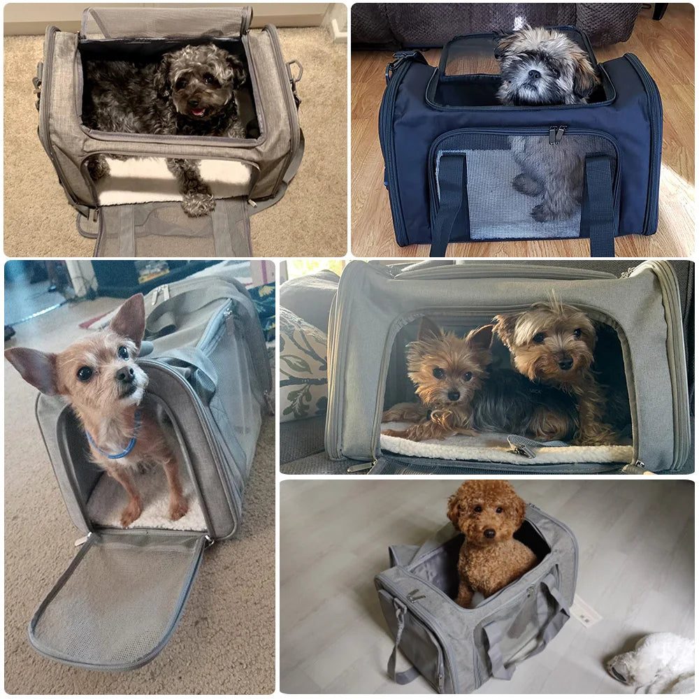 Sac de transport pour chat et petit chien - vue 1
