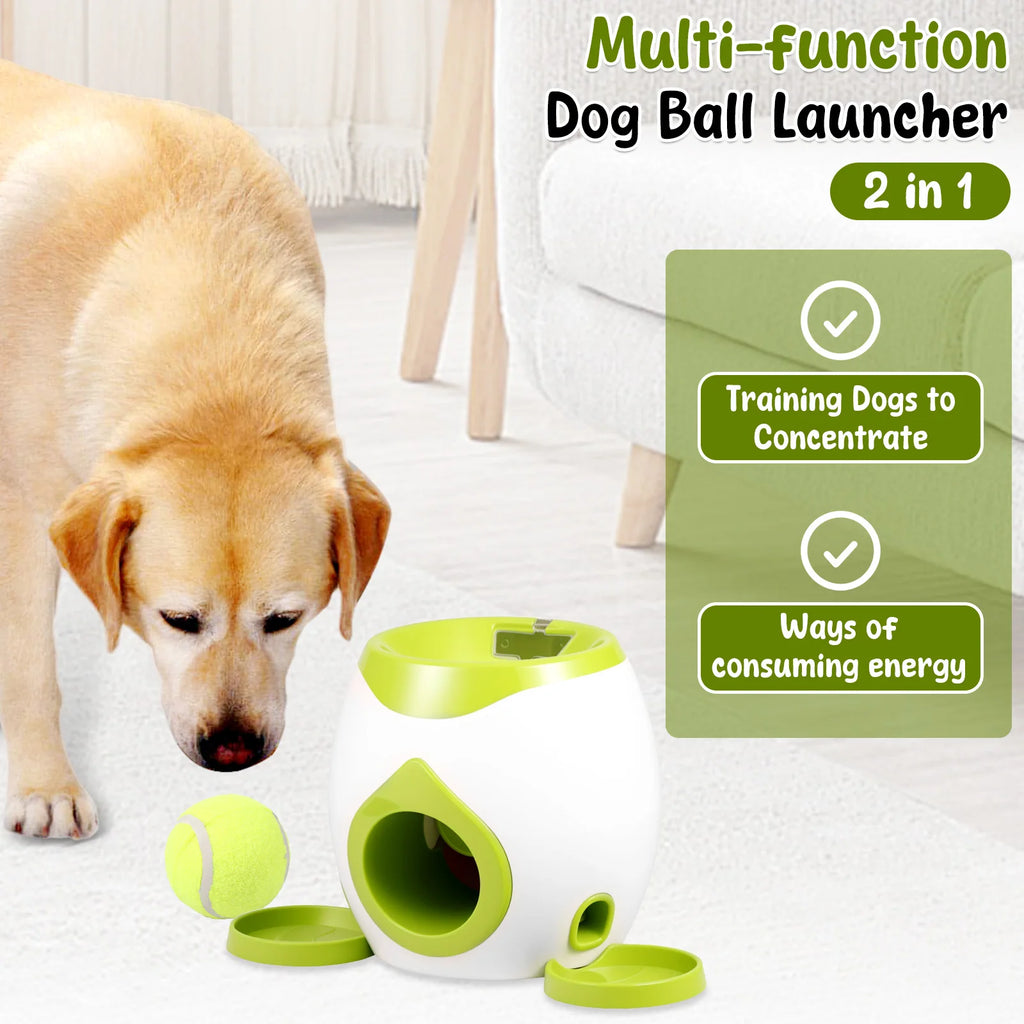 Lanceur de balle automatique pour chien - vue 2