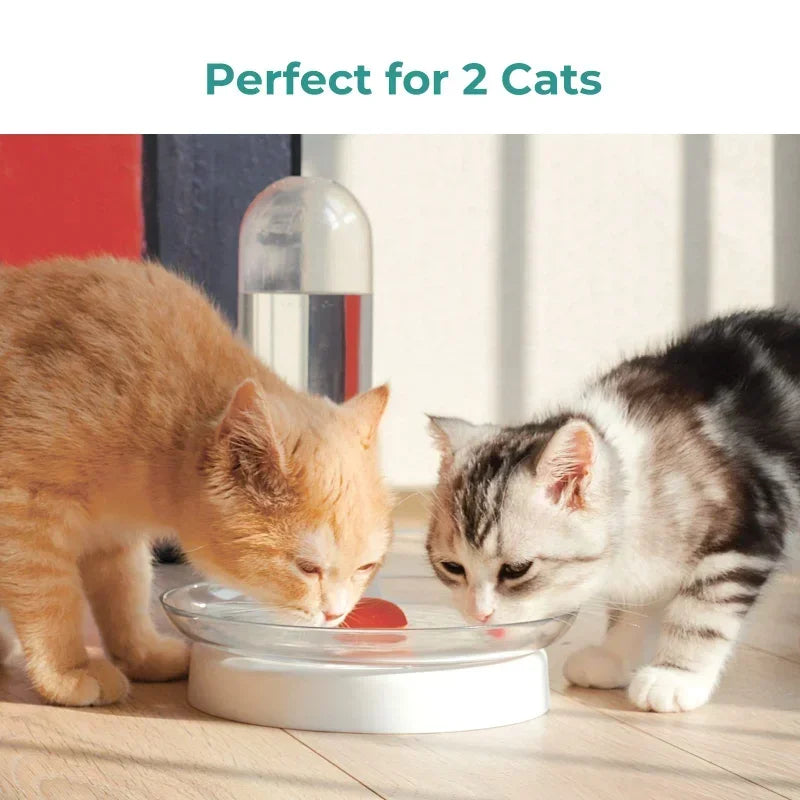 Fontaine à eau pour chat - vue 2
